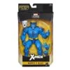 Hasbro Marvel Legends X-Men 6 Inch Action Figure - Marvel's Beast