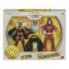 Hasbro X-Men 20th Anniversary Marvel Legends Action Figure Twin Pack Exclusive - Storm & Thunderbird